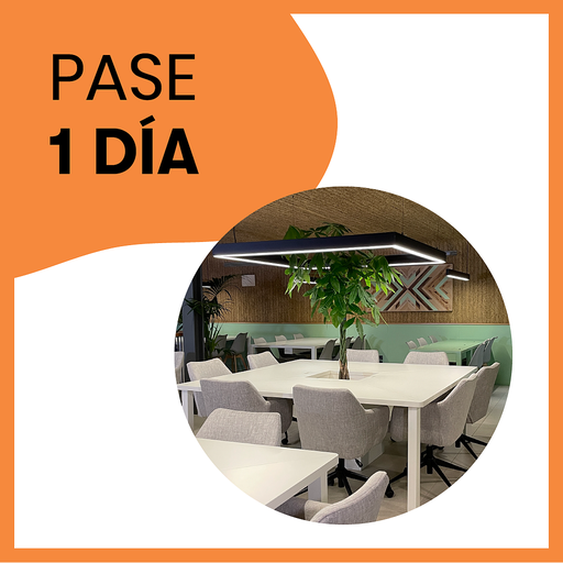 Pase Diario Piamonte